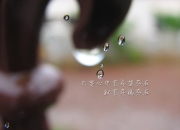 -一箭穿心，独耀星空，哥伦比亚险胜荷兰，哈兰德诠释足坛唯一性