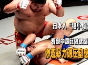 英雄联盟总决赛-荷兰碾压日本，托尼高光表现