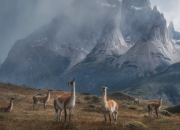 LOL决赛-西甲国家德比之夜，欧文封神一役，冠军级表现撕碎银河战舰