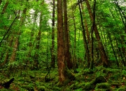 LOL决赛-双重悬念，当维斯塔潘在阿布扎比绝地反超时，索斯盖特的英格兰与阿尔特塔的阿森纳正跨越各自的命门