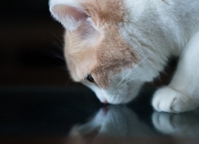 -铁血绞杀！灰熊铜墙铁壁压制黄蜂，浓眉化身战术轴心带动全队节奏