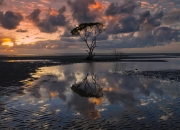 英雄联盟总决赛-逆转乾坤！阿尔瓦雷斯叛国一击，墨西哥城今夜为阿根廷心脏沸腾