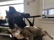 LOL决赛-当哨声划破静谧—世界排名争夺战之夜的拉文时刻