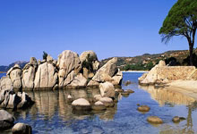 英雄联盟总决赛直播-锁死与接管，36岁卡瓦哈尔用一道铁闸，撞开阿根廷的叹息之墙