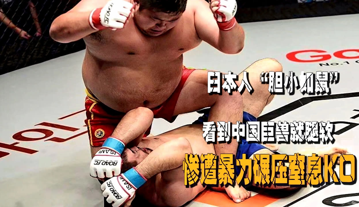 荷兰碾压日本,托尼高光表现 荷兰碾压日本,托尼高光表现