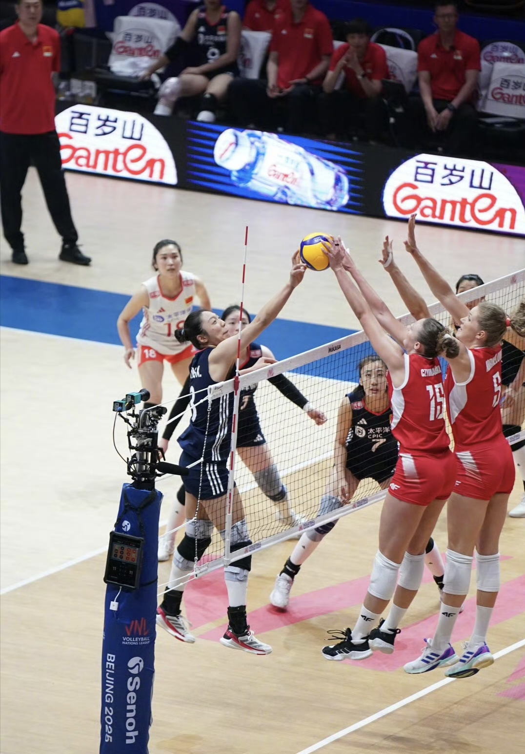 中国队完胜波兰队,波尔惊艳四座 中国队完胜波兰队,波尔惊艳四座