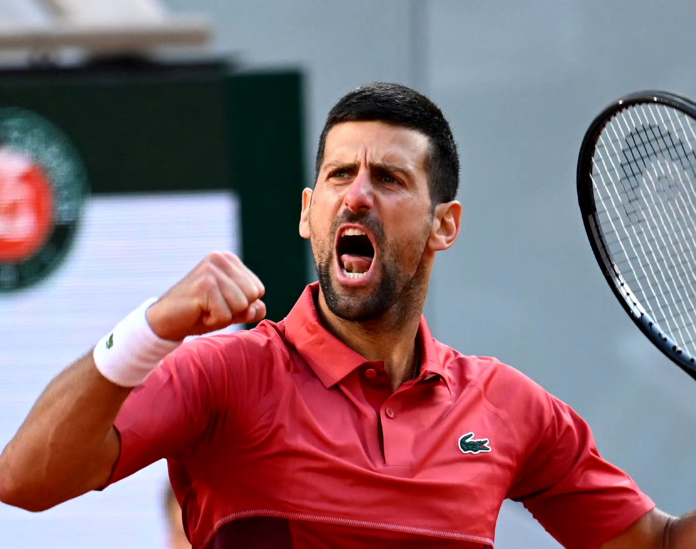 澳网完胜戴维斯杯,兹维列夫统治全场 澳网完胜戴维斯杯,兹维列夫统治全场