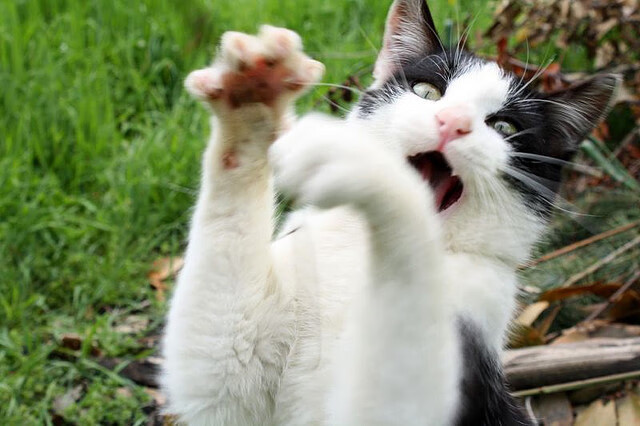 唯一性!当颤抖的篮筐遇见沉默的熔炉