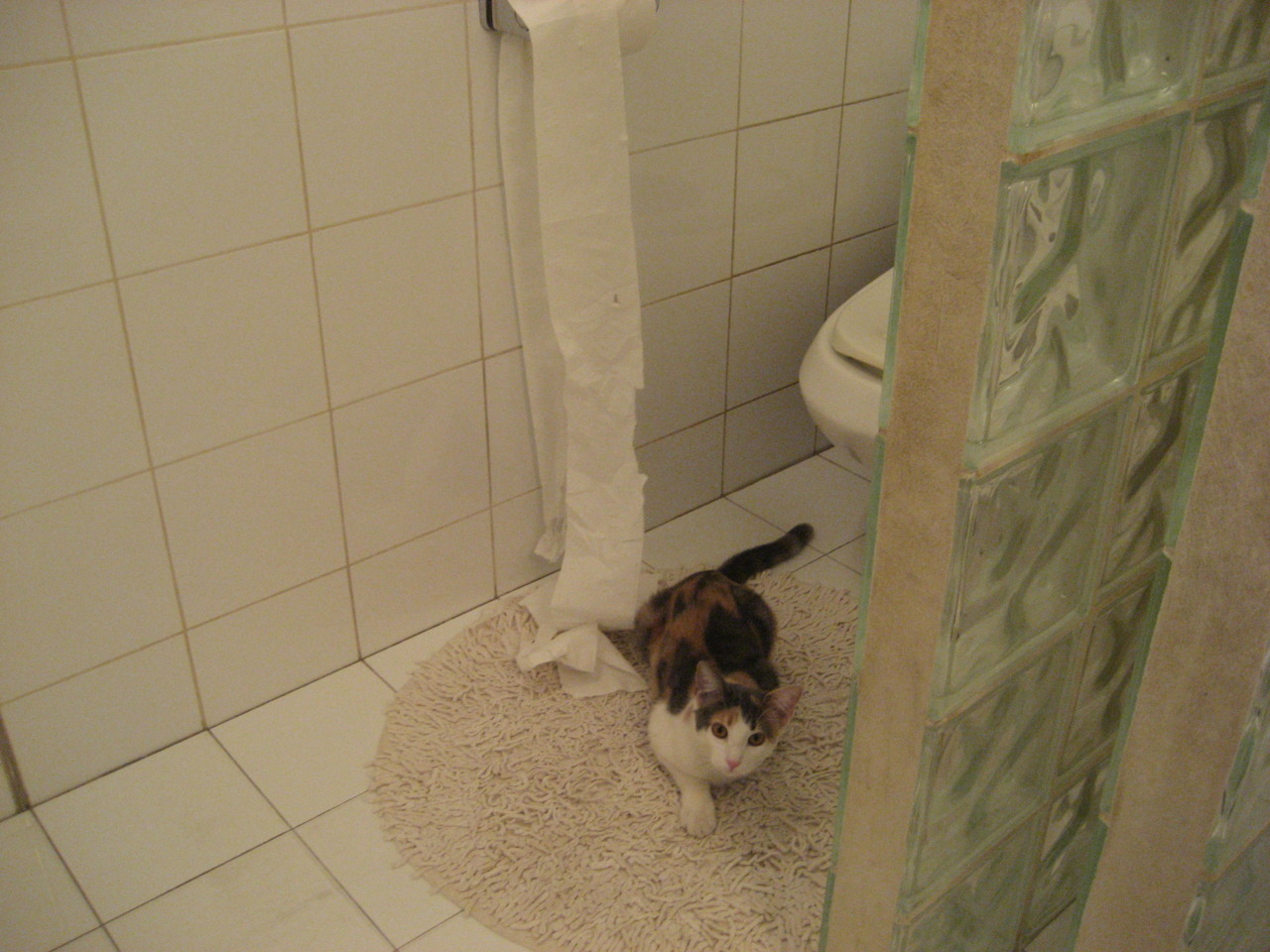 东瀛利刃刺穿巴斯克铁壁,三笘薰决胜时刻导演勒沃库森巅峰之战