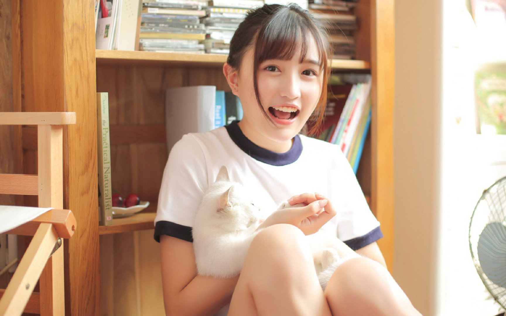 临危受命的左路走廊,特奥一锤定音,奥地利在意志之战中力克哥斯达黎加