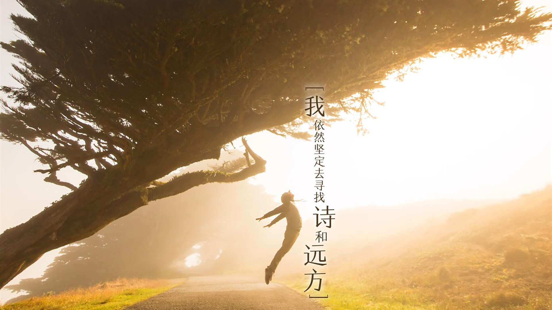 冰封北岸花园！开拓者铁网阵绞杀双探花，浓眉嗜血40+20打碎争冠滤镜