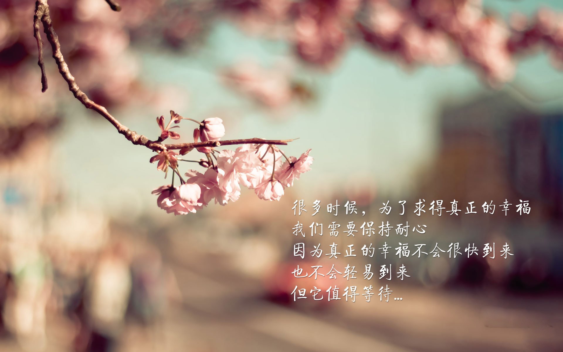 蓝色狂想曲，克瓦拉茨赫利亚如何在卡塔尔打破英格兰的节奏机器