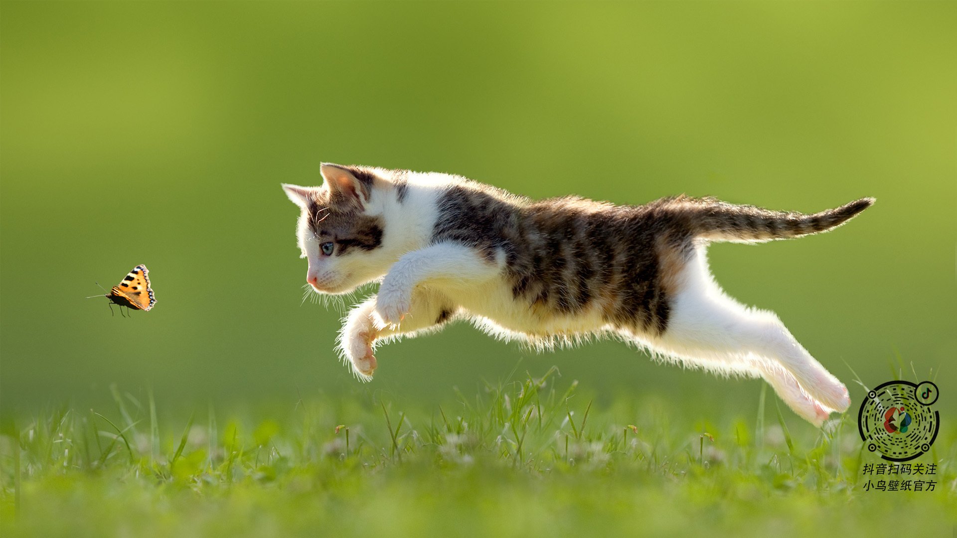 F1街道赛之夜，奥纳纳关键时刻站出来的传奇