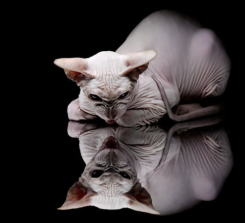 太阳生死战轻取热火,范弗利特三分雨提前终结悬念