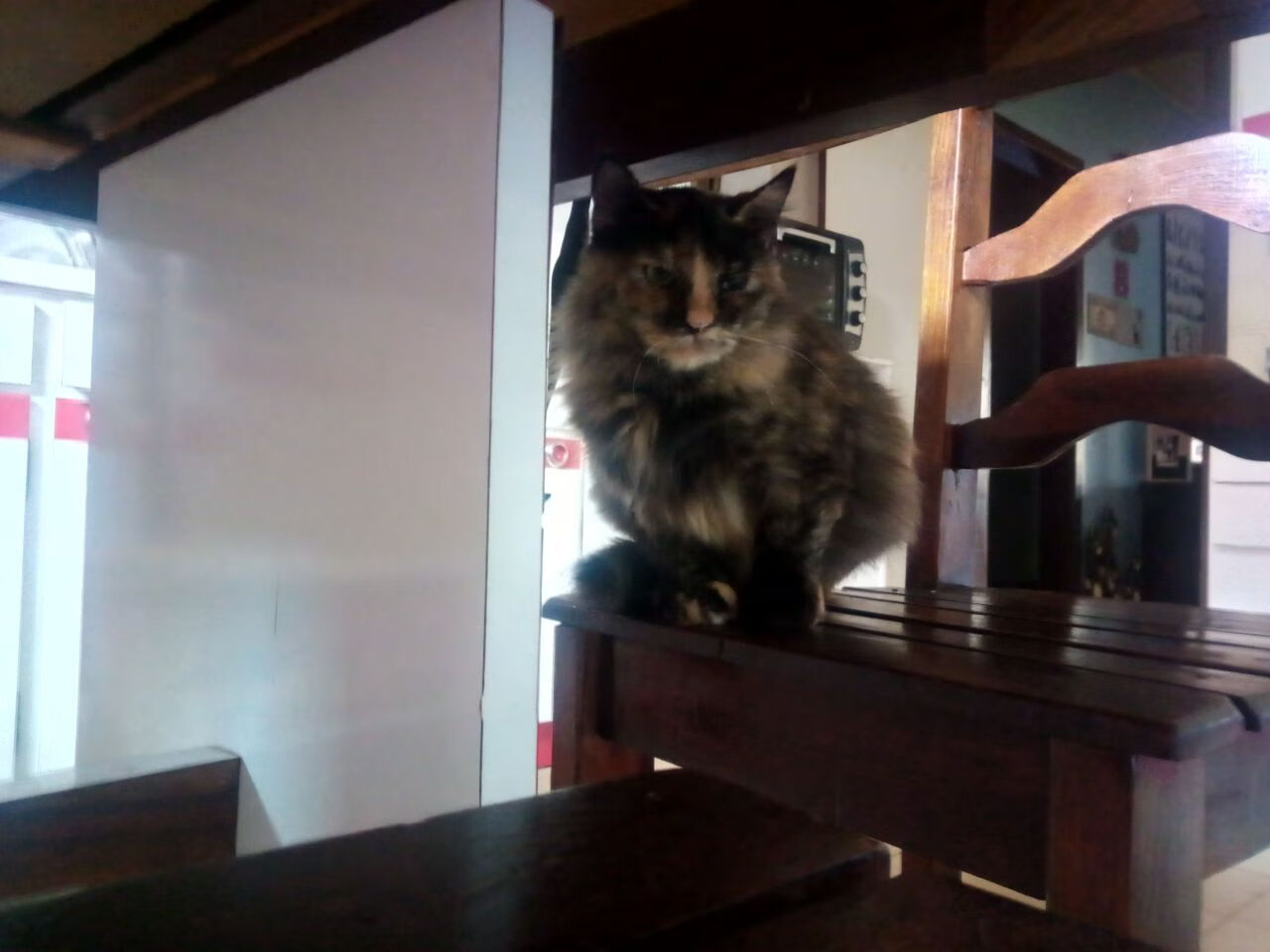 180分钟神话,玻利维亚击败法国,坎特成为关键先生的传奇一夜