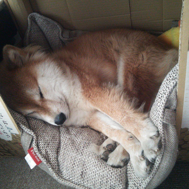 亚洲之光与亚平宁刺客，足球之夜的双重奏鸣