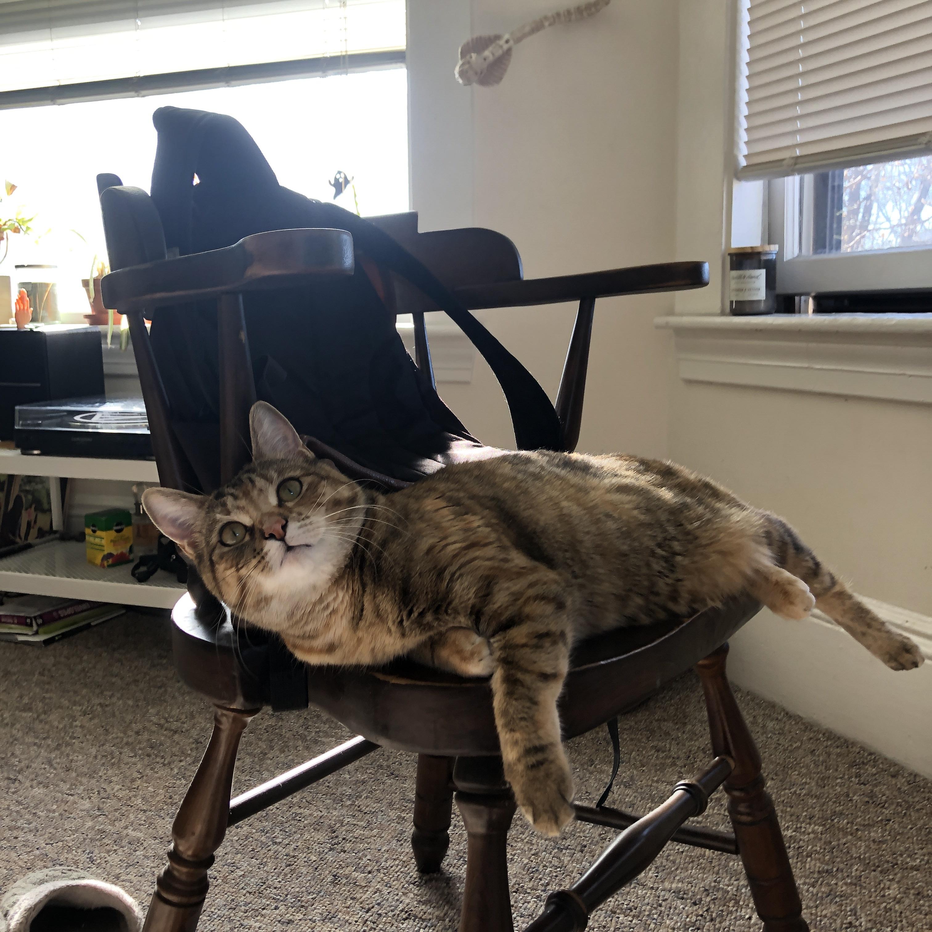 当哨声划破静谧—世界排名争夺战之夜的拉文时刻