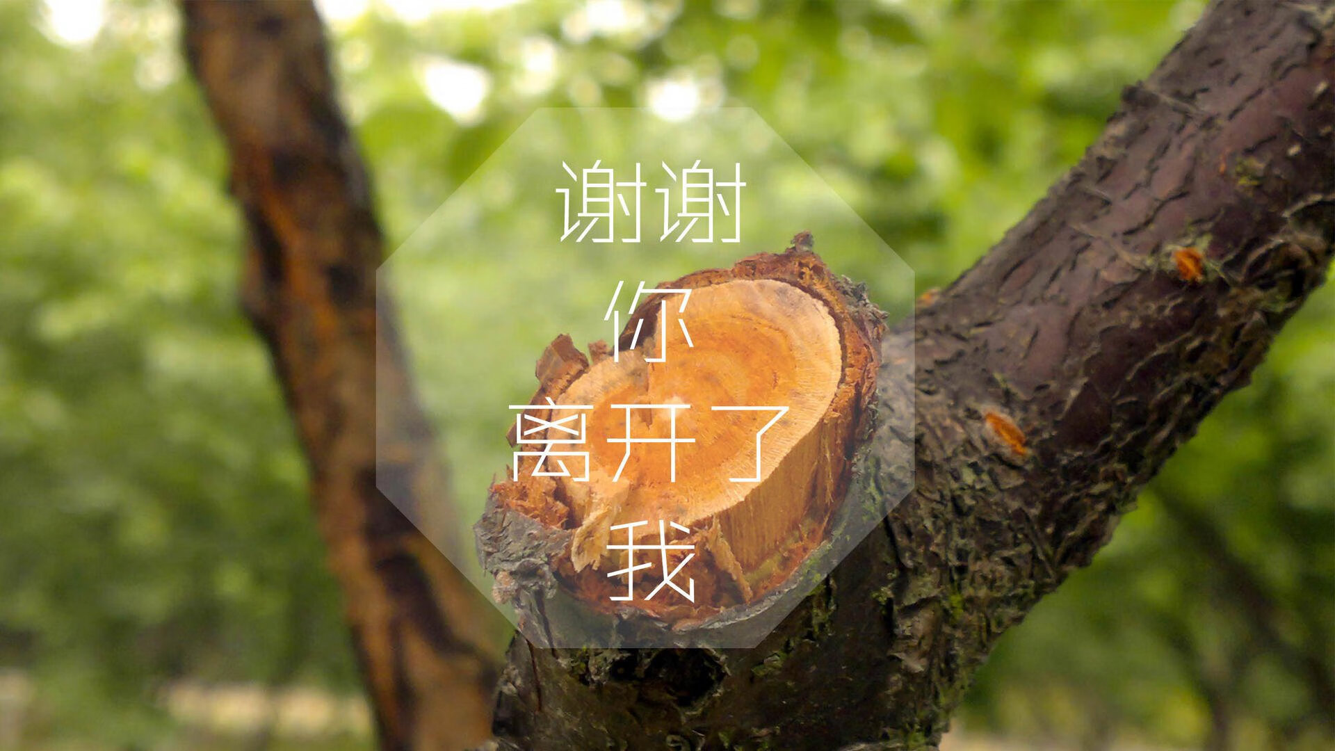 命运的窄门,2026世界杯A组,哈兰德如何定义智利与尼日利亚的生死战